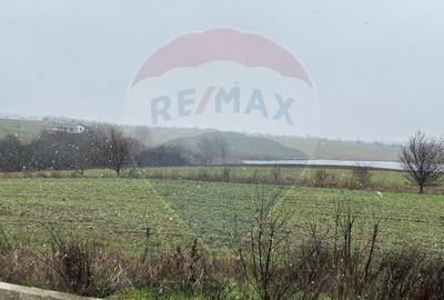VANZARE Casă / Vilă PREMIUM 4 camere la pret normal - 17