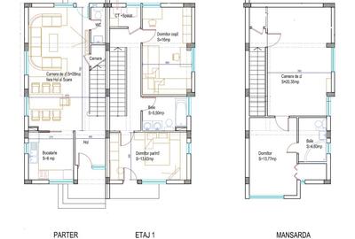 Doua vile DUPLEX Domnesti - 12