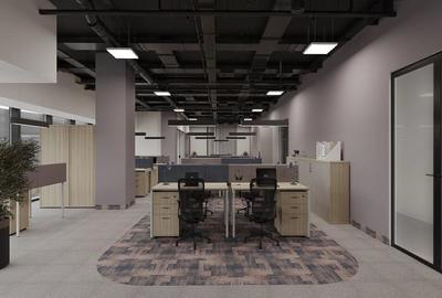 River Place & RiverView House – Birouri amenajate gata de inchiriere - 6
