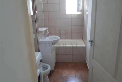 Apartament 1 camera-Mobilat-Utilat-Buziasului - 4