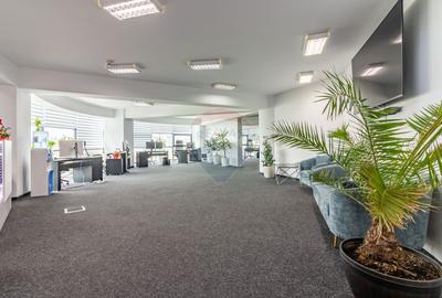 Spațiu de birouri I Office I comercial I 245 mp I  Mihai Bravu - 9