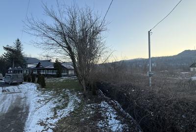 Teren intravilan construcții, industrial suprafață 3900 mp - 6
