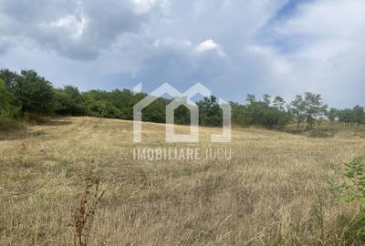 Teren Intravilan Constructrii 2258mp - Gadalin - 4