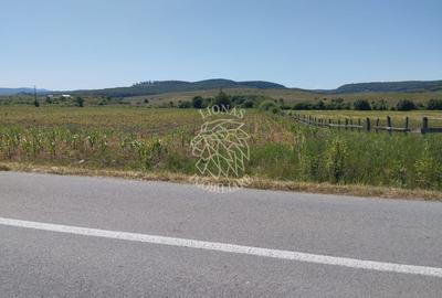 Teren 1200 mp cu utilitati-panoramic-Livezile - 1