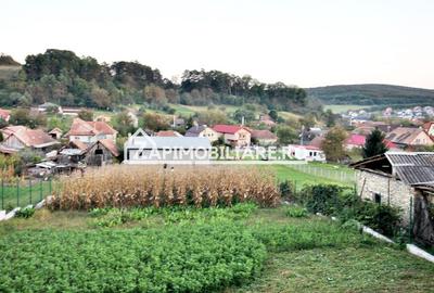 Casă individuală cu 4 camere în Livezeni