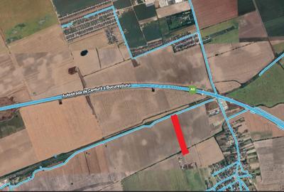 Teren 10.700, intravilan Tunari- Dimieni, Aeroport Otopeni-A0 - 1