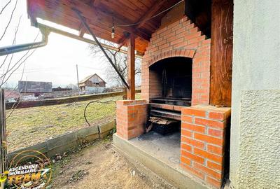 FILM! 5.000mp teren intravilan cu casuta rustica, Dalnic, Covasna - 38