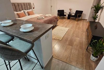 Apartament Ultracentral în Vilă Vânzare, Drumul Poienii Brașov - 11