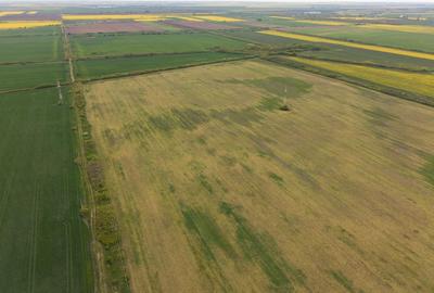 Teren investițional strategic 44.700 mp Arad Vest - 14