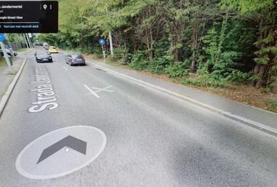 Pădure urbană cu potențial infinit – Strada Jandarmeriei - 1