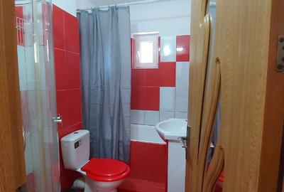 Proprietar, vand apartament 2 camere, cartier Muncitoresc - 4