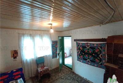Casa taraneasca traditionala pe parter cu gradina si livada 1700mp in Gruiu, la - 14