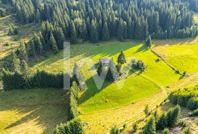 Teren de vanzare, Fundata, Brasov – view superb, investitie - COMISION 0% - 1