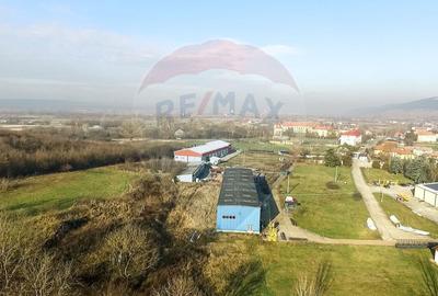 Teren industrial de vânzare - 18.820 mp+proiect de extindere, Bonțida - 7