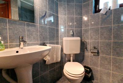 CASA VILA DE VIS PE VALEA DOBARLAULUI - JUD. COVASNA - 9