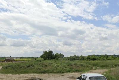 Teren intravilan  25 000 mp - Titu Nou - 1