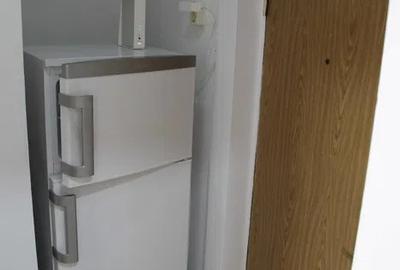 Calea Mosilor - Eminescu - pet friendly - 7