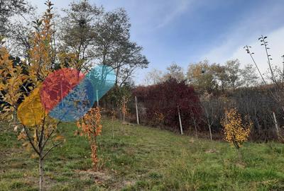 Casă, 1553 mp teren, zona linistita, sat Cara - 12