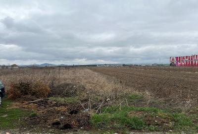 Teren intravilan, 6000 mp, Ghimbav - 4