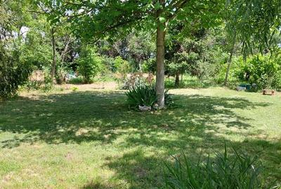 Casa 3 camere Parter Giurgiu Com Bucsani - 7