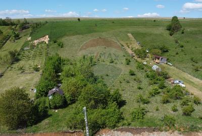Teren intravilan 2307 mp în Salicea, zona premium, aproape de Cluj - 5