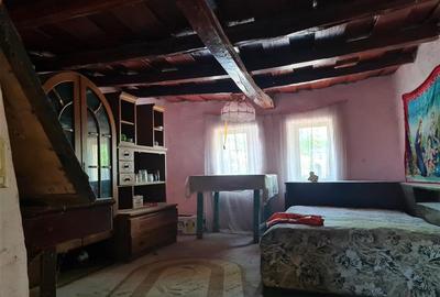 Casa Modesta in Siria Arad - 4