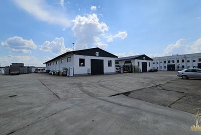 Proprietate industriala renovata | 2 hale de vanzare in zona Seleus - 7