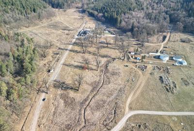 Teren intravilan - 9