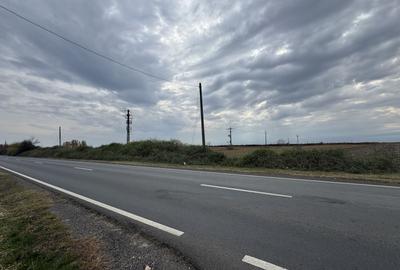 Vand Teren Extravilan Biled(zona industriala) 25.000mp,F.S la DN6 - 1