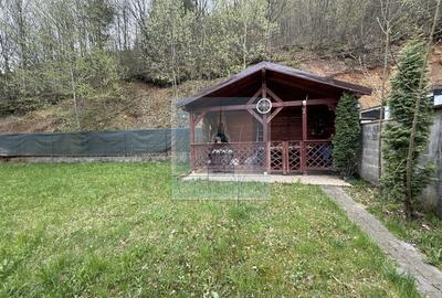 Casa/vila P+E+M, individuala ,730 mp teren-Timișul de jos/Dâmbul Morii - 34