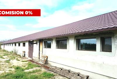 Spațiu industrial, de 696.00 mp, în Cătunu (Cornești)