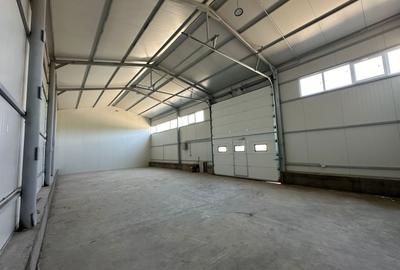 Zona industriala Hala Noua,ideala depozitare zona logistica. - 2