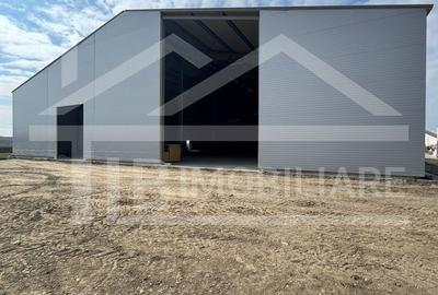 Spatiu industrial, 1250 mp, Zona Cristesti - 2