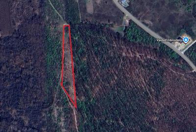 Teren intravilan cu dublu front stradal, de vanzare in Paleu - 1