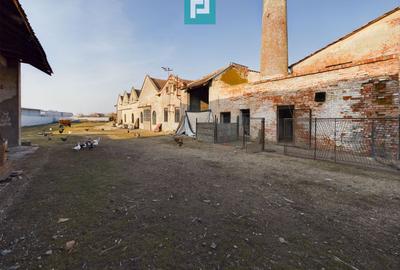 Teren și hale pe calea Aradului în Periam - 1