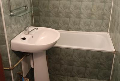 Zona Linistita, Bloc civilizat, apartament curat, mobilat modern si utilat - 8