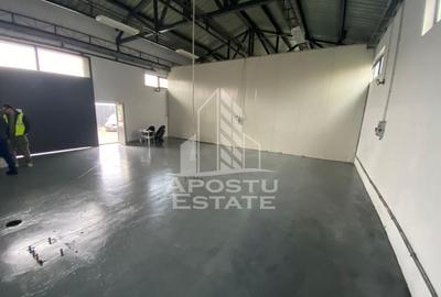 Hala de inchiriat Timisoara - Dambovita, depozitare, service auto - 7