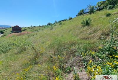 Teren intravilan de vanzare in Alba Iulia - Micesti - 4