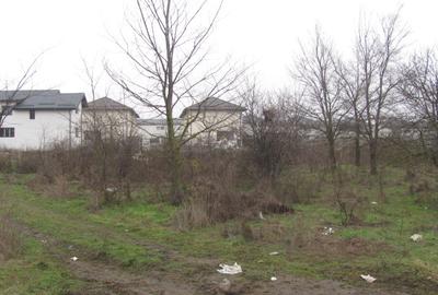 Prelungirea Ghencea - Safirului, Stradal - 4