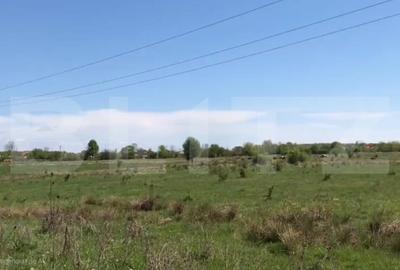Teren Construcții intravilan de 5453 mp, în Exterior Vest