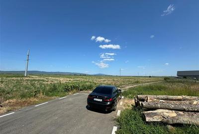 Teren in Golesti 9.848mp intravilan + extravilan  pret 6 euro / mp - 3