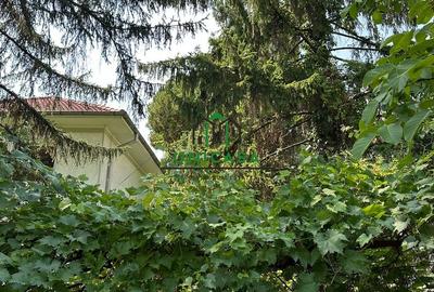 Casa si teren  - Zona Ultracentrala - 7