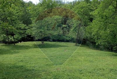 Vanzare casa  4 camere-microferma, cu panouri fotovoltaice - 16