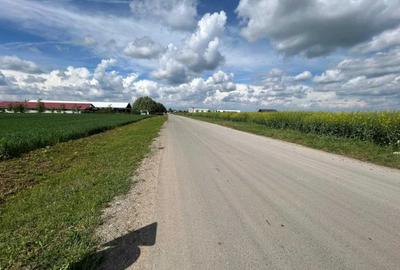 Moara Vlasiei - zona industriala, 17.000 mp - 2