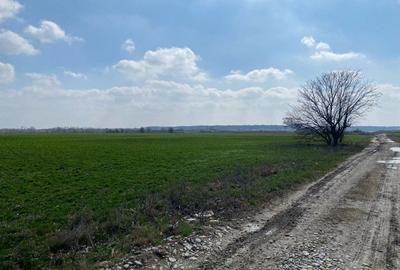 Teren Intravilan Snagov - 1