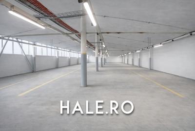 Spațiu industrial, 1060 mp în Chiajna