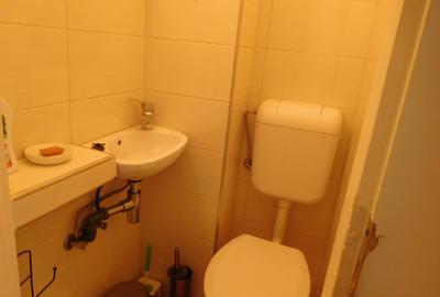 Chirie apartament in casa - 9
