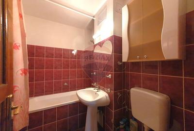 Inchiriez apartament 2 camere Vlaicu, decomandat, etaj 2, centrală gaz - 13