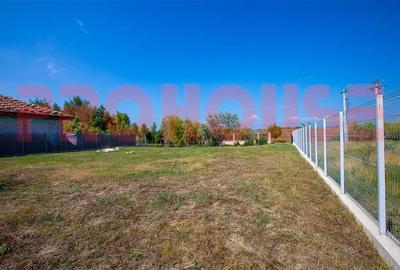 Persoana fizica - teren 1.000mp - Serbanesti - cu lac amenajat - 11