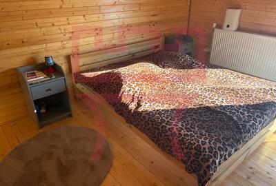 Cabana Belis in apropierea asfaltului cu panorama superba asupra Belis - 12